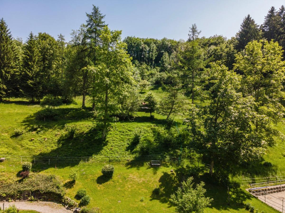 Апартаменты Tobelbach Вайлер-Зиммерберг Экстерьер фото